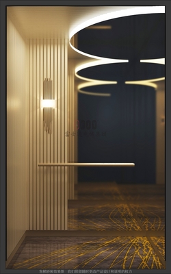 Ayna aşındırma 1000kg otel asansörü